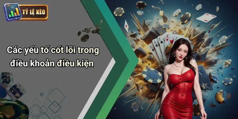 Điều Khoản Điều Kiện