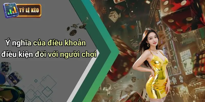 Điều Khoản Điều Kiện