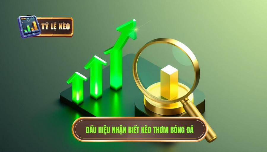 Các dấu hiệu nhận biết kèo thơm mỗi ngày – cơ hội thắng cao
